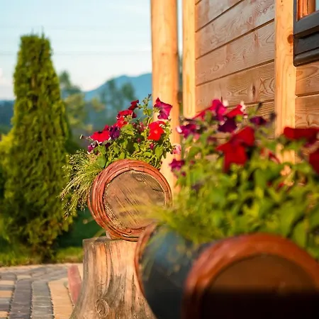 Pannochka بيت خشبي